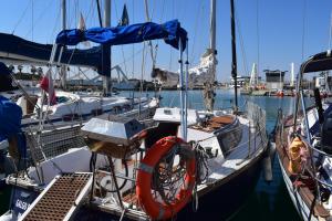 瓦伦西亚Velero en Puerto de Valencia - E&M Boats的船与其他船停靠在港口