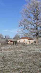 勒格尼Domaine de la Poyat的一片有树和房子的田野