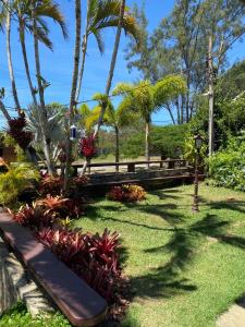 布希奥斯Casa 10 suítes, até 64 pessoas, Praia Ferradura的棕榈树公园,长凳和植物