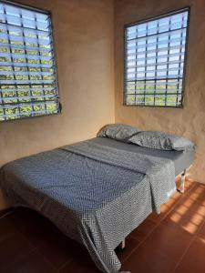 Las LajasLa Cima del Cielo的一间卧室设有一张床和两个窗户。