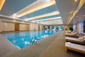 银川银川国际交流中心铂瑞酒店的酒店设有一个大型游泳池,配有躺椅
