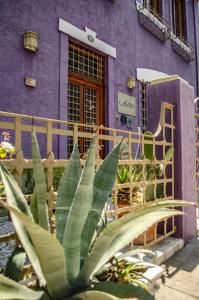 瓦尔帕莱索曼诺尔阿特金森酒店的一座紫色的建筑,前面有植物