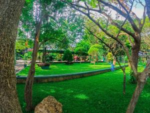 达瓦拉维桑陶里亚维尔德酒店的绿树成荫的绿色公园