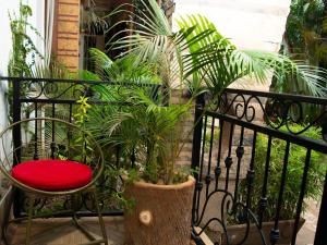 坎帕拉Green Villa Apartments的阳台配有红色椅子和一些植物