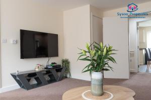 莱斯特Syster Properties Serviced Accommodation Leicester 5 Bedroom House Glen View的客厅配有电视和植物桌子