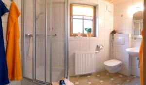 多弗加斯坦Präau-Gut的带淋浴、卫生间和盥洗盆的浴室