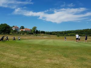 LyckeTofta Herrgård的一群人在绿色的场地上打高尔夫球