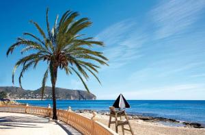 莫莱拉Apartamento mediterráneo en el alma de Moraira的海滩上的棕榈树与大海