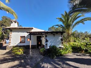 伊科德洛斯维诺斯Finca Llano de la cebolla的棕榈树白色的小房子