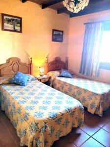 伊科德洛斯维诺斯Finca Llano de la cebolla的一间卧室配有两张床和吊灯。