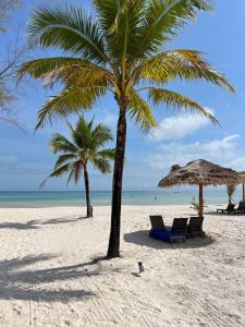 瓜隆岛You&Me Resort的海滩上的两棵棕榈树和椅子