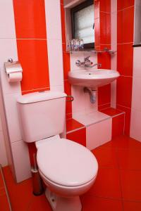 兹拉托格勒Hotel Zlatograd的红色和白色的浴室设有卫生间和水槽