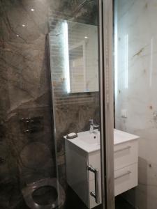 埃尔布隆格Apartament Mielczarskiego的带淋浴、卫生间和盥洗盆的浴室