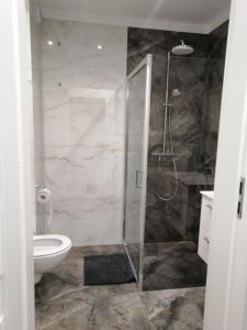 埃尔布隆格Apartament Mielczarskiego的带淋浴和卫生间的浴室