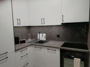 埃尔布隆格Apartament Mielczarskiego的厨房配有白色橱柜和水槽