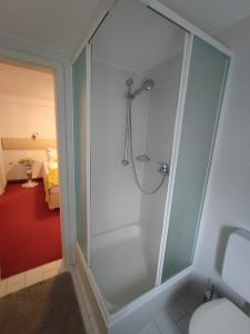 福尔巴赫Pension Forelle的浴室里设有玻璃门淋浴