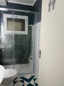 菲格拉斯Habitación Económica的一间带卫生间和玻璃淋浴间的浴室