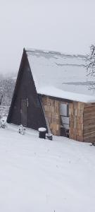 CărbunariLivada Becica的屋顶上积雪的谷仓