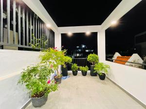 胡志明市Thai Van Home的夜晚在阳台上种植一排盆植物