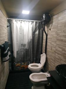 蒂格雷Casita Casa con parque, estacionamiento y pileta en Tigre的带淋浴帘和卫生间的浴室