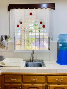 特拉Casa Bea的带水槽的厨房台面和窗户