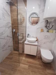 博希尼Apartma LINA, Encijan D-38的浴室配有卫生间、盥洗盆和淋浴。