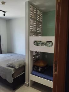 塔瓜汀加Taguá life apartamento amplo moderno e encantador的一间卧室配有一张双层床和一张双层床。