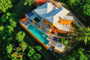 别克斯Vieques Villa Gallega - Oceanview w/Infinity Pool的享有带游泳池的房屋的空中景致