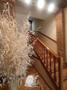 Aldeanueva de Ebro塞帕旅馆的一间设有楼梯的房间,种植了大植物