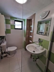 上鲁日巴希Ubytovanie v súkromí Zelený dom的一间带水槽和卫生间的浴室