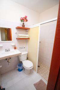普拉亚卡门La Casa Del Almendro的浴室配有卫生间、盥洗盆和淋浴。