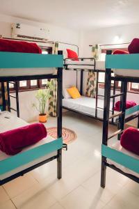 乌代浦Hostel Nirvana的宿舍内带双层床的房间