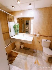 马尼尔瓦APARTAMENTOS LOS HIDALGO GOLF的一间带水槽、卫生间和镜子的浴室