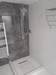 瑟切莱Izabella Guest House的带淋浴的浴室和玻璃门