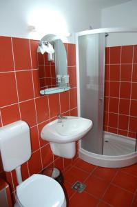 CosteştiPension Nicoleta的红色的浴室设有卫生间和水槽