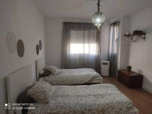 萨贡托Ideal Apartamento para familia con wifi的一间卧室设有两张床和窗户。