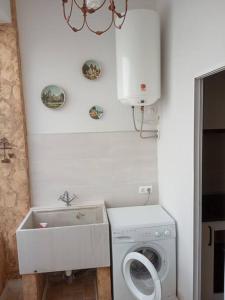 萨贡托Ideal Apartamento para familia con wifi的一间带洗衣机和水槽的浴室