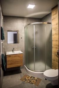 别尔斯克-比亚拉Viva Noclegi的带淋浴、盥洗盆和卫生间的浴室
