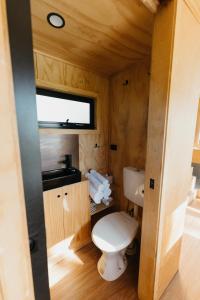 MintaroCABN Clare Valley的一间带卫生间和水槽的小浴室
