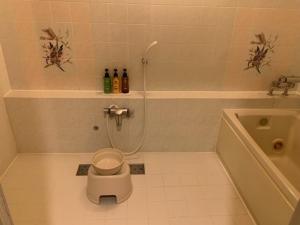 小樽Hotel HANAMIZUKI-Adult Only的带浴缸、卫生间和盥洗盆的浴室