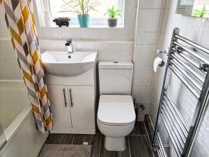 伦敦The Navarone Blue Orchid Flat的一间带卫生间和水槽的小浴室