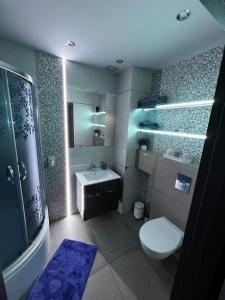 雷达Apartament VIP-2的浴室配有卫生间、盥洗盆和淋浴。