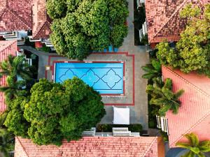 坎多林果阿坎多林丽筠酒店的享有树木和建筑的游泳池的顶部景致