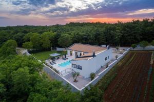 泽敏Villa Vetosa by IstriaLux的享有带游泳池的房屋的空中景致