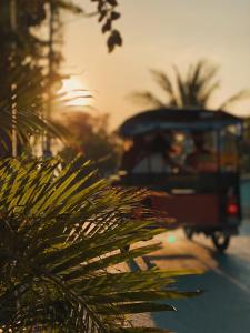 丽贝岛The Reef Hotel & Studios的一辆巴士沿着一条棕榈树的街道行驶