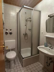 菲利普斯罗伊特Almberghütte的带淋浴、卫生间和盥洗盆的浴室
