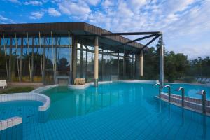 拉登齐拉登齐温泉度假酒店 - 萨瓦度假酒店的大型游泳池,设有大型建筑