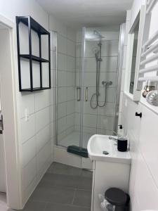 MalschUllis Pension für Monteure & Handwerker的带淋浴和盥洗盆的白色浴室