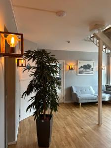腓特烈松VISIONHOUSE Hotel的带沙发和盆栽植物的客厅