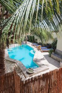 江比阿UVIVU by Jambiani Villas的后院的棕榈树游泳池